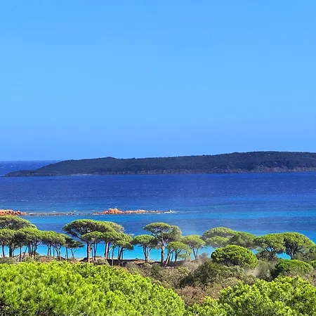 Palombaggia Vue Panoramique 9 Min A Pied *