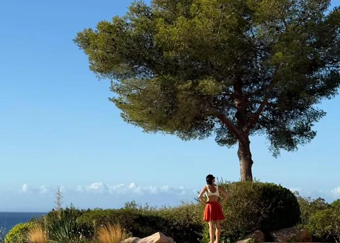 Palombaggia Vue Panoramique 9 Min à Pied Villa Porto Vecchio